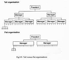 Span Of Management Organisation