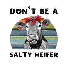 don t be a salty heifer cow gift men s