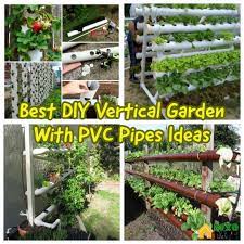 #1 vertical vegetables and flowers welcoming guests beautifully. 33 Best Diy Vertical Garden With Pvc Pipes For Small Home Yard Solutions Home Diy Ideas Vertical Garden Diy Vertical Garden Vertical Vegetable Garden