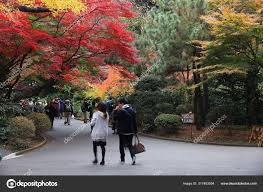 autumn in tokyo stock editorial photo