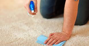 best homemade carpet cleaner solutions