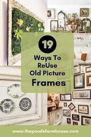 vine picture frames
