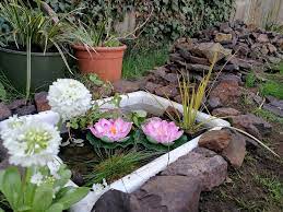 How To Make A Mini Pond For Your Garden