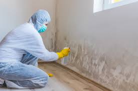 how much does mold reation cost