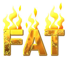 Image result for metabolic fat burner 