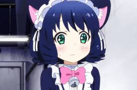 Anime is well known for being able to express. Nekomimi In Anime Top 10 Anime Cat Girls Myanimelist Net
