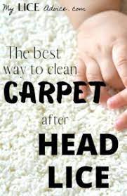 proven ways to treat carpet after head lice