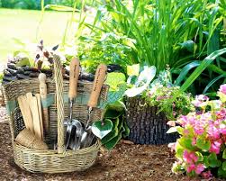Buy Personalised Gardening Tool Set