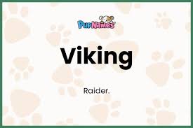 viking dog name meaning