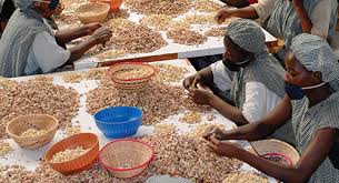  how-to-start-food-processing-business-in-nigeria-at-a-small-scale