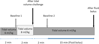 tidal volume challenge