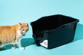 Hello there cat mums (and cat dads)! The Best Cat Litter Boxes For 2021 Reviews By Wirecutter