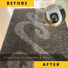 carpet cleaning service services apex