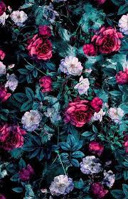✓ thousands of new images the flower wallpapers also work well as background pictures for your iphone or android smartphone. Pin On Flowers Wallpapers