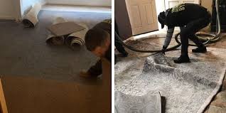 stop mold in carpet from water damage