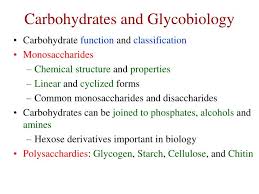 Ppt Carbohydrates And Glycobiology Powerpoint Presentation