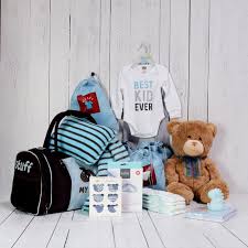 baby boy travel necessities gift set