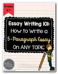 essay topic paragraph argumentative essay writing websites online    