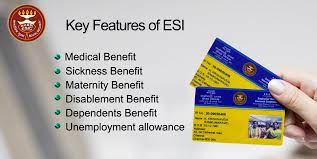 esi what are it s key features