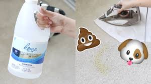 how to remove carpet stains pet stains