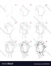 beautiful rose flower bud vector image