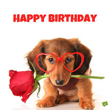 Find and follow posts tagged puppy birthday on tumblr. Cute Puppy Happy Birthday Image