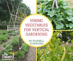 Vining Vegetables For Vertical