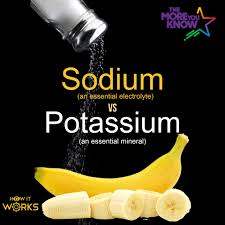 sodium and potium formula lower