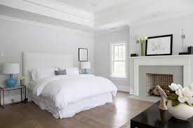 Tray Ceiling Transitional Bedroom