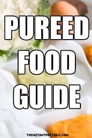 pureed food t