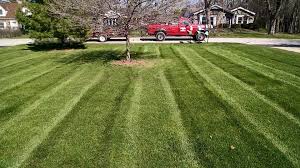 Lawncare and landscape lawn care treatment services near me. Why Organic Lawn Care Is Essential