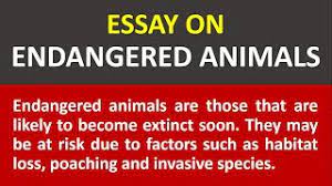 essay writing on endangered s