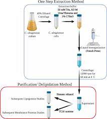 optimization of protein isolation by