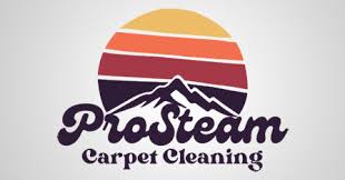 prosteam carpet cleaning northeast