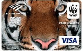 Although the discover it card doesn't have a signup bonus like the boa cash rewards card, it does provide a cash back match at the end of your first year. World Wildlife Fund Credit Card Review 2021 Finder Com