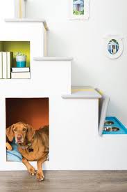 12 Awesome Under Stair Dog House Ideas