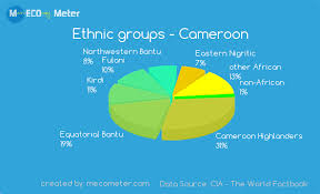 Demographics Of Cameroon