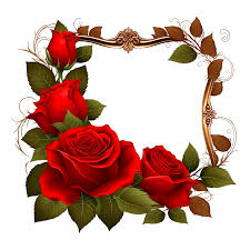 red rose flower frame 21776209 png