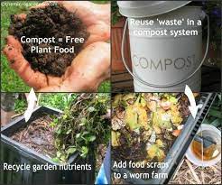 How To Use Compost And 7 Benefits Of