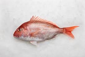 Frozen Red Snapper Indonesia Frozen Red Snapper Red
