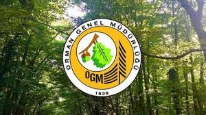 Orman Genel Müdürlüğü 5 bin işçi alım ilanı | OGM 81 ilde 5 bin işçi hangi  şartlarda alınacak? OGM başvuru ve alım şartları nelerdir? - Timeturk Haber