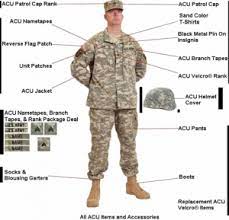 army regulations ar 670 1 essay