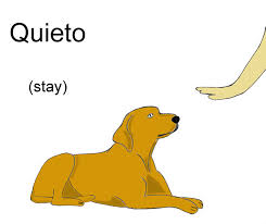 Dog Training Hand Signals A Picture Instructional Guide