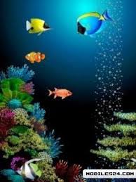 animated fish hd 240x320 wallpapers