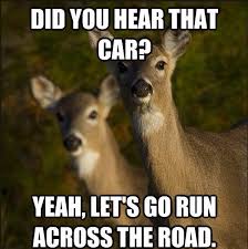 Loudoun County Sheriff's Office - TrafficTipTuesday: The month of November continues the height of #DeerCrossing season as deer mating season does not end until the latter part of December. Couple this with