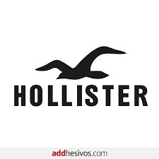 hollister logo bird hd phone wallpaper