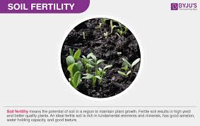 Soil Fertility Factors Affecting