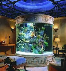 Unique Aquarium Design For Home gambar png