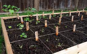 A Guide To Square Foot Gardening