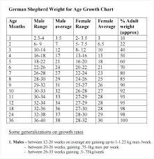 29 Explanatory Golden Retriever Height Chart